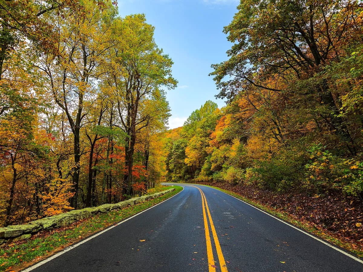 Virginia, Virginia